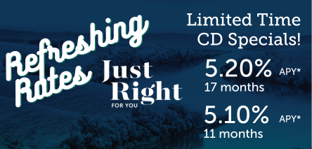 Savings Account Comparison | Raccoon Valley Bank